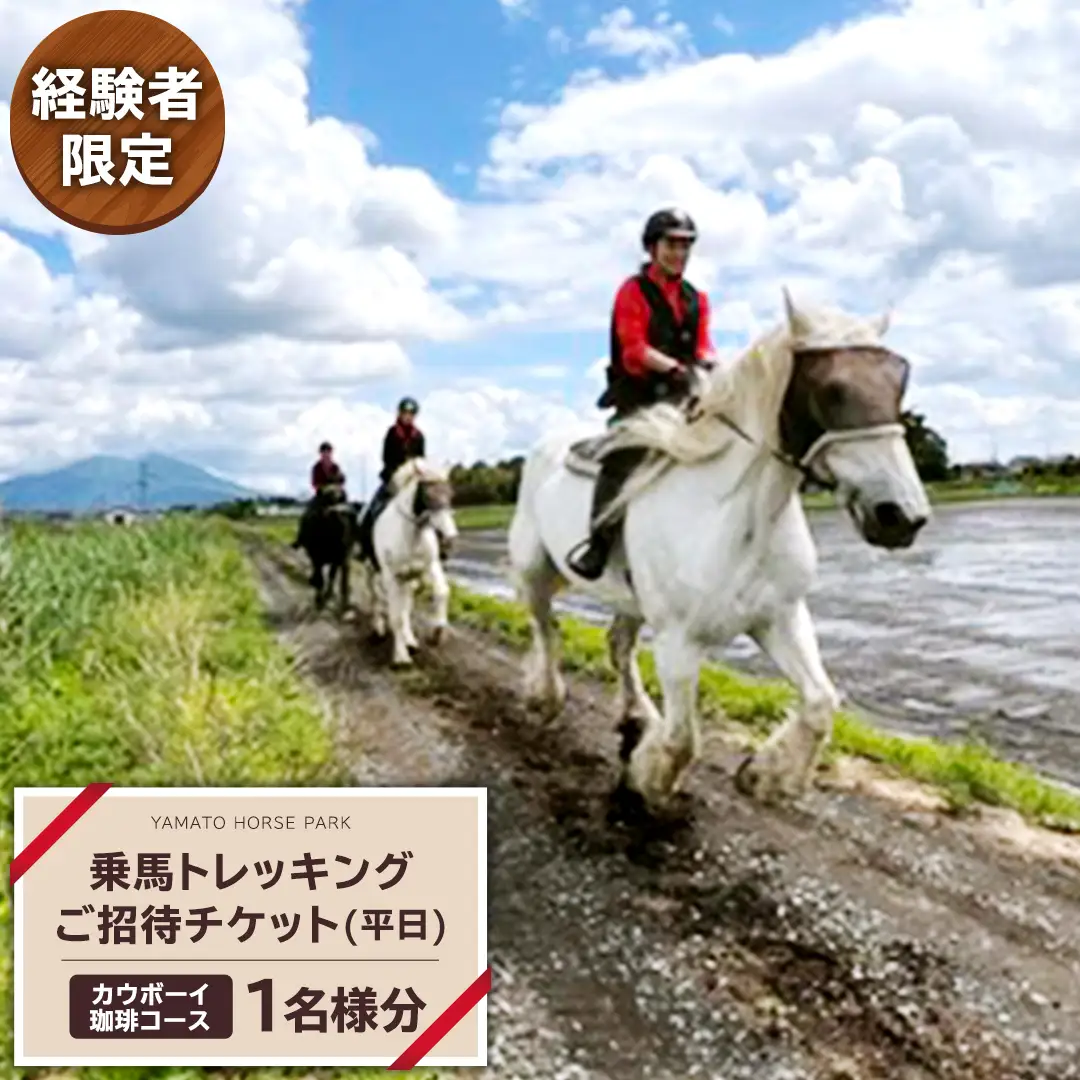 【経験者限定】 カウボーイ珈琲コース 平日プラン 乗馬 トレッキング 体験チケット アウトドア  [DE001sa]