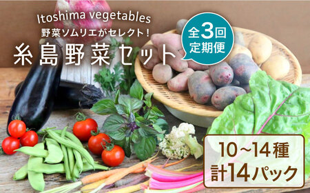 【全3回定期便】旬を味わう 糸島 野菜 セット 10〜14種 （14パック） / イタリア野菜 オーガニック 野菜ソムリエ 松永 糸島市 / vegeLabo [AJB004]