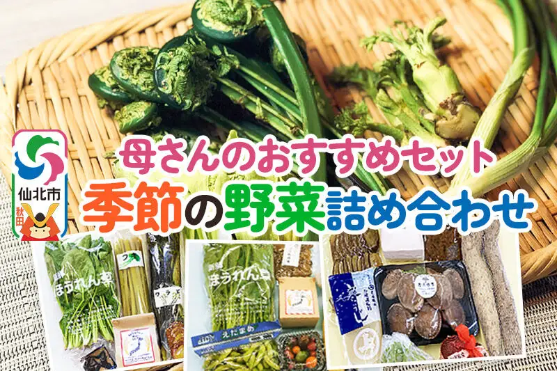 《2026年6月中旬配送》母さんのおすすめセット～季節の野菜詰め合わせ～
