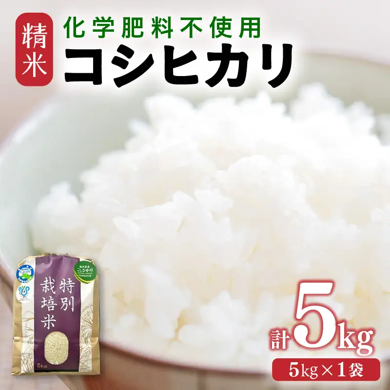【先行予約】【令和8年産】 化学肥料不使用コシヒカリ 精米5kg（5kg×1袋） / 白米 米 福井県あわら市産 美味しい 特別栽培米 減農薬 安心な米 旨味 甘み もっちり エコファーマー こしひかり 冷蔵保管米 ※2026年9月下旬以降発送予定 [aw010-a042]