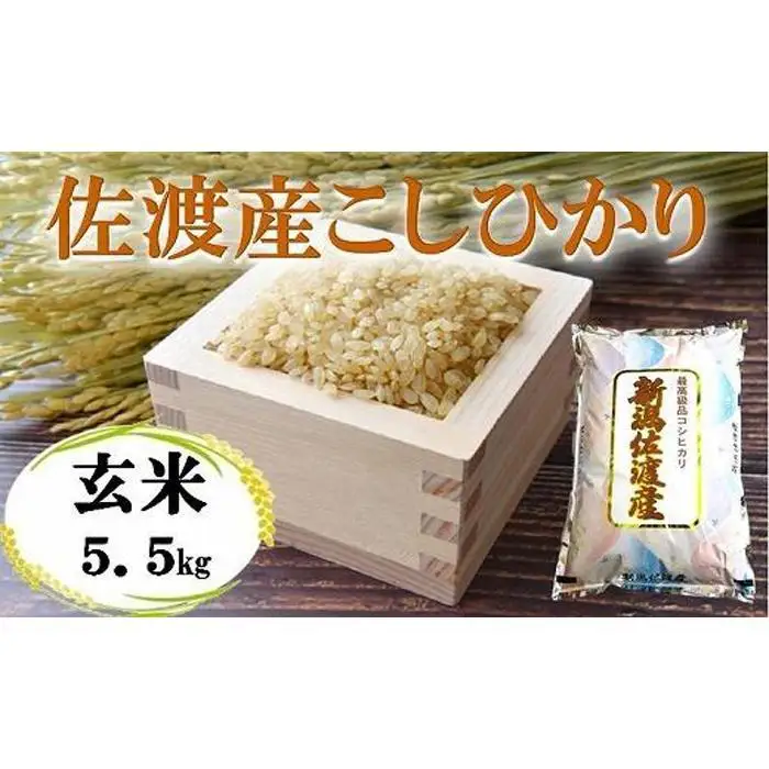 【令和7年産】佐渡高千産こしひかり 玄米 5.5kg