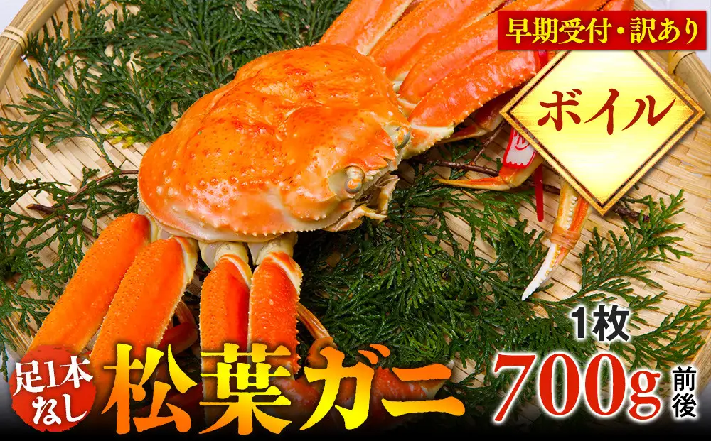【早期受付】【ボイル】足1本なし 訳あり 松葉ガニ 中1枚（700g前後）※着日指定不可※2026年11月上旬頃から順次発送予定 | カニ 松葉ガニ