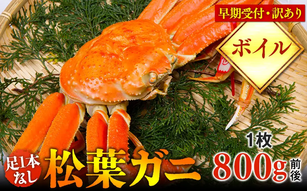 【早期受付】【ボイル】足1本なし 訳あり 松葉ガニ 大1枚（800g前後）| カニ 松葉ガニ タグ付き※着日指定不可※2026年11月上旬頃から順次発送予定