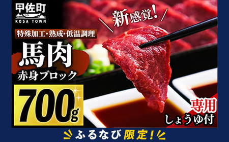 ふるなび限定】 馬肉 赤身ブロック 700g 甘い馬刺し専用醤油付き