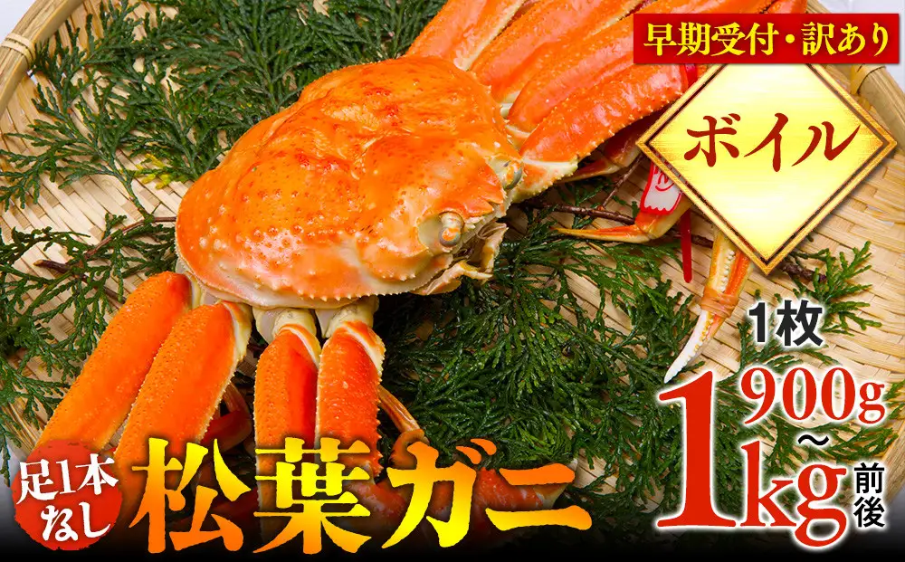 【早期受付】【ボイル】足1本なし 訳あり 松葉ガニ 特大1枚（900g～1kg前後）| カニ 松葉ガニ タグ付き ※着日指定不可※2026年11月上旬頃から順次発送予定