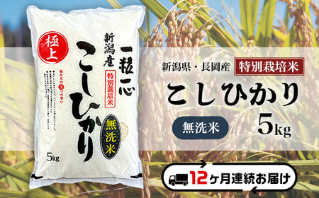 48-7M05Z【12ヶ月連続お届け】【無洗米】新潟県長岡産特別栽培米コシヒカリ5kg