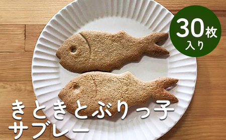きときとぶりっ子サブレ 30枚入り　 | 富山 氷見 ブリ サブレ クッキー お菓子 焼き菓子 スイーツ ギフト 小袋 おやつ 