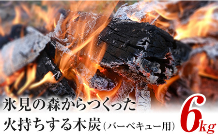 氷見の森からつくった火持ちする木炭（バーベキュー用）6kg 