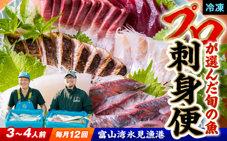 【全12回 定期便】氷見漁港 海鮮刺身セット 毎月お届け | 詰め合わせ 冷凍 刺身
