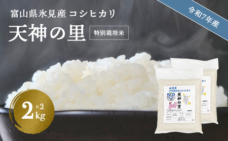 令和7年産 富山県産特別栽培米 コシヒカリ 天神の里２kg×２ |　お米 白米 精米 氷見 富山 米 国産 特別栽培 4kg 2kg 小分け エコファーマー 数量限定 コシヒカリ こしひかり 特別栽培米 安心 環境にやさしい 農家直送 