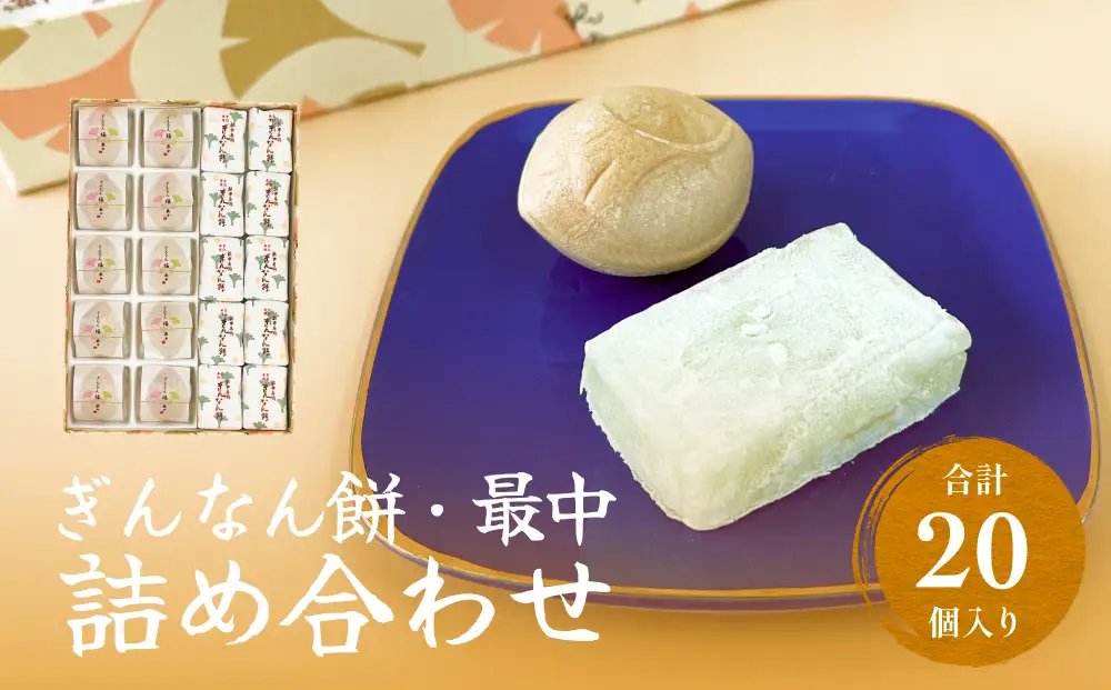 和菓子詰め合わせ2種（餅、最中）セット ぎんなん餅本舗おがや 富山県 氷見市 和菓子 銀杏 餅 最中 お茶請け 詰め合わせ 冠婚葬祭 ギフト プレゼント 和菓子詰め合わせ