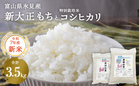 〈令和7年産〉富山県氷見産 新大正もち（1.5kg）と特別栽培米コシヒカリ"天神の里”（2kg）のセット＜2025年11月以降順次発送＞ | お米 白米 精米 氷見 富山 米 国産 特別栽培 エコファーマー 数量限定 コシヒカリ こしひかり 人気 お取り寄せ 減農薬 減化学肥料 安心 安全 環境にやさしい 農家直送 天神の里 餅 米 もち米 おこわ 新大正糯 希少 品種