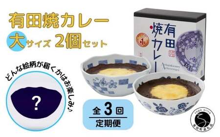 【3回定期便】有田焼カレー(大)【器いろいろ】2個セット JR九州駅弁グランプリ テレビ番組全国駅弁ランキング１位 F60-5