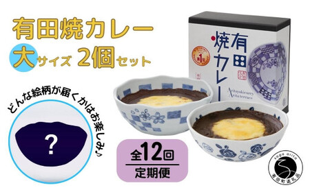 【12回定期便】有田焼カレー(大)【器いろいろ】2個セット JR九州駅弁グランプリ テレビ番組全国駅弁ランキング1位 F240-1