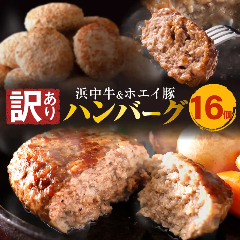 ハンバーグ 16個 ハンバーグ 浜中牛 ホエイ豚_H0019-100　