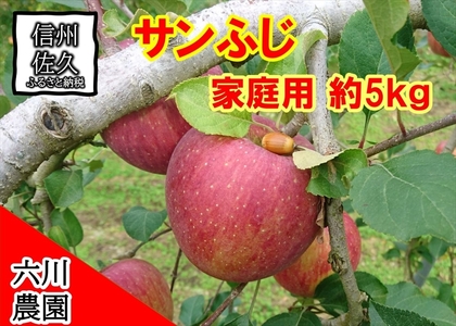 長野県産 サンふじ りんご 家庭用 約5kg （14〜25玉）〈2026年12月出荷分／北海道・沖縄県・離島は配送不可〉信州 果物 旬彩 先行予約 季節限定【 当園にて愛情たっぷりに育てたりんご 長野県 佐久市 】