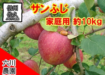 長野県産 サンふじ りんご 家庭用 約10kg （28～50玉）〈2026年12月出荷分／北海道・沖縄県・離島は配送不可〉信州 果物 旬彩 先行予約 季節限定【 当園にて愛情たっぷりに育てたりんご 長野県 佐久市 】