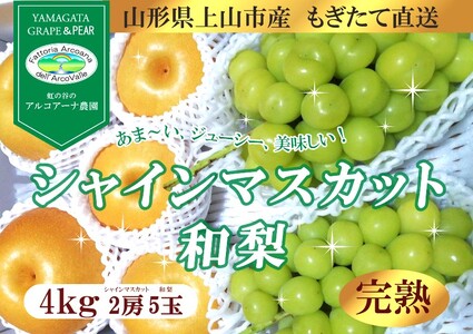 【直送便】完熟シャインマスカットと和梨セット（大）　0148-2612