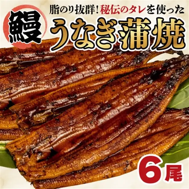 うなぎ 蒲焼き 6尾 約800g うなぎ