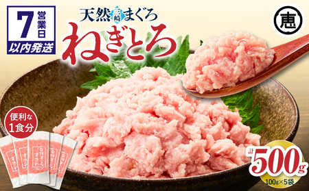 ＜選べる配送月＞三崎まぐろ 目鉢まぐろ のみ使用ねぎとろ すきみ 500g（100g×5P） M020-019 冷凍 マグロ 【 まぐろ専門の卸問屋です 】