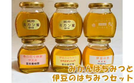 富田養蜂園　みかんはちみつと伊豆のはちみつセット（200g×6本）