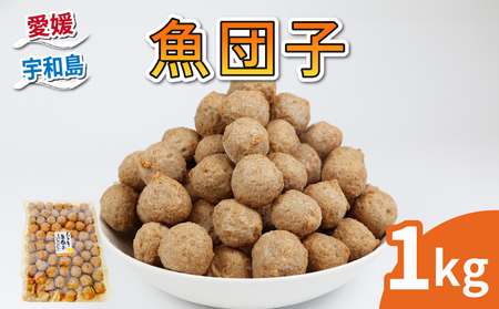 魚肉 魚団子 1kg 宇和島練り物工房みよし 魚肉 C010-061009