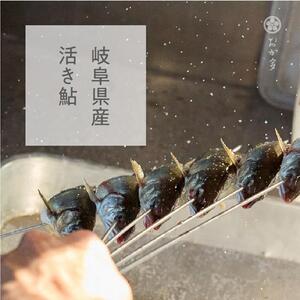 一尾ずつ炭火で丁寧に焼き上げた鮎の塩焼き（４尾）