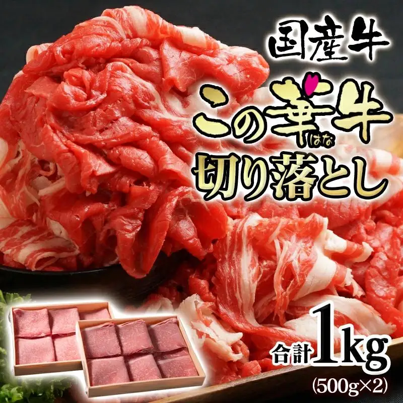 宮崎有田牧場オリジナルブランド『この華牛』切り落とし 1kg（500g×2パック）　国産牛＜14-9a＞★