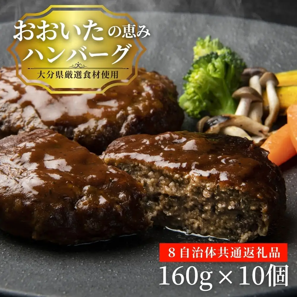 大分の恵み ハンバーグ 1.6kg (160g×10個) | 豊後高田市 ハンバーグ