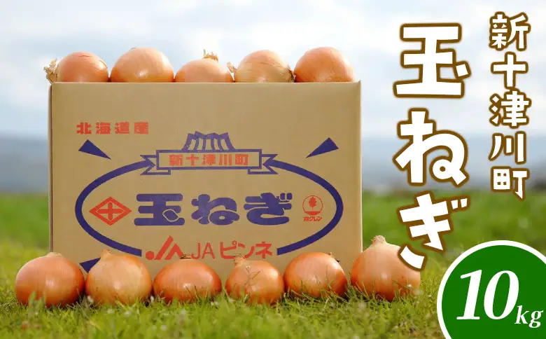 【先行受付】玉ねぎ Lサイズ（10kg）【令和8年10月～12月中旬発送】【1200102】