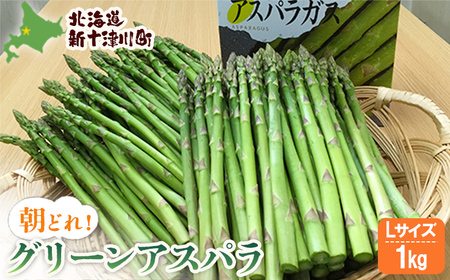 【先行受付】グリーンアスパラ（Lサイズ1kg）【令和8年5月中旬～6月中旬発送】【1201503】