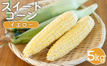 【先行受付】 スイートコーン（イエロー）5kg【令和8年8月1日頃～31日頃発送】【1202002】