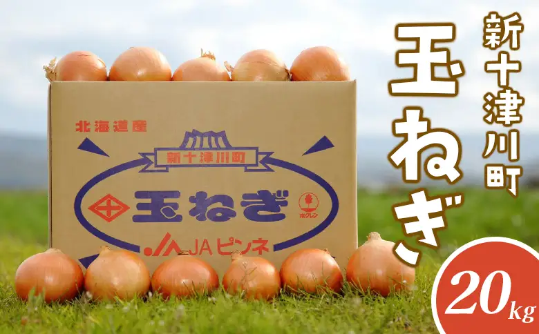 【先行受付】玉ねぎ Lサイズ（20kg）【令和8年10月～12月中旬発送】【1200202】