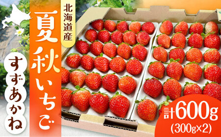 先行予約 26年7月以降発送 夏秋イチゴ すずあかね 計600g  夏いちご 生 苺 四季成り 北海道 [AXBT003]