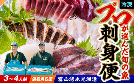 【偶数月 全6回 定期便】氷見漁港 海鮮刺身セット | 詰め合わせ 冷凍 刺身