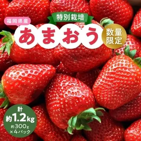 【数量限定】特別栽培あまおう4パック【2026年12月より順次発送】_果物・フルーツ いちご  イチゴ 苺_【配送不可地域：離島】【1445836】