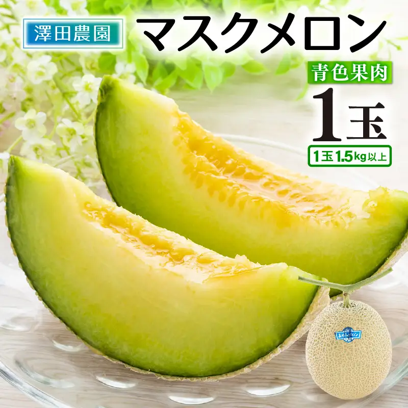 【先行予約】青肉マスクメロン（1.5kg以上 1玉入）味も見た目も抜群！アールスメロン  / あわら 期間限定 果物 フルーツ 産地直送 青肉 人気 ギフト 贈答 ※2026年7月上旬より順次発送  [aw039-a015]