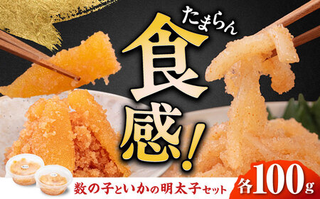 数の子明太子&いか明太子セット（各100g）【博多徳永とくとく珍味】 [ABCJ011] 