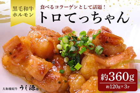 (冷凍) 国産 黒毛和牛 味付 トロてっちゃん 120g×3パック／うし源本店 ホルモン バーベキュー キャンプ アウトドア 父の日 奈良県 宇陀市 お中元 贈答用 贈り物 暑中見舞い お土産 お歳暮 内祝いまとめ買い 美味しい部位 キャンプ 