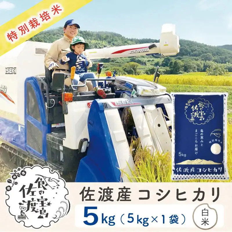 佐渡島産コシヒカリ 白米5kg 特別栽培米 農家直送