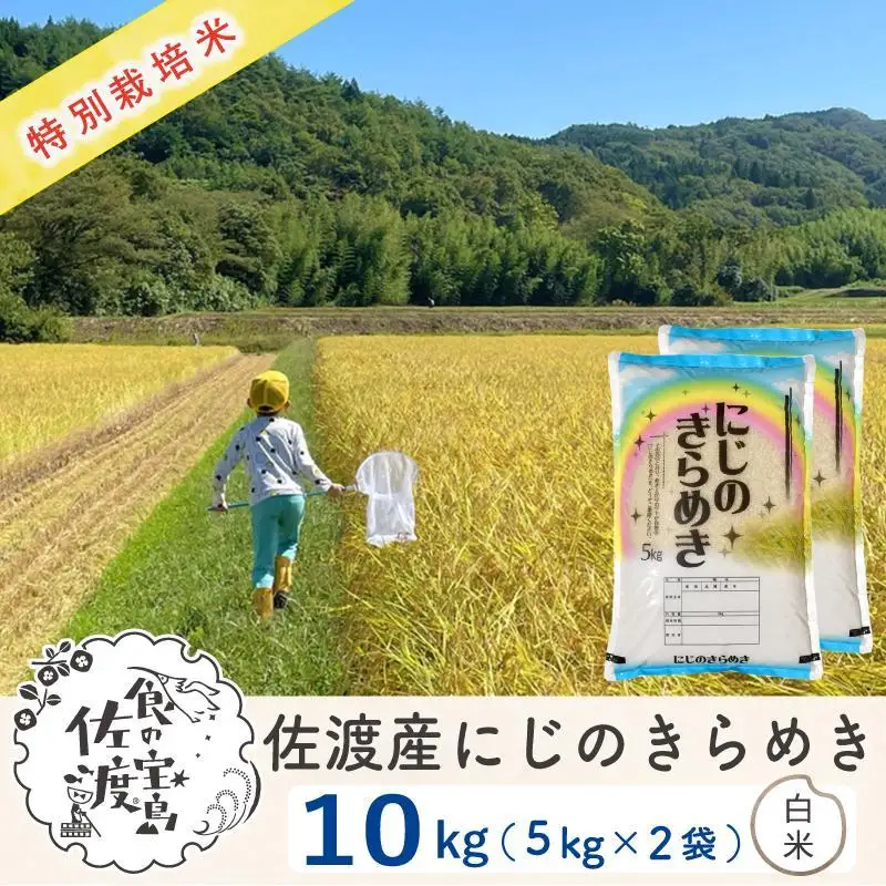 佐渡島産にじのきらめき 白米10Kg（5Kg×2袋)  令和7年 特別栽培米 農家直送