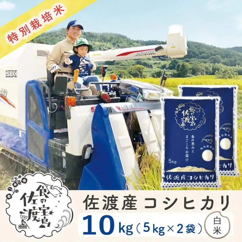 佐渡島産コシヒカリ 白米10kg（5kg×2袋） 特別栽培米 農家直送