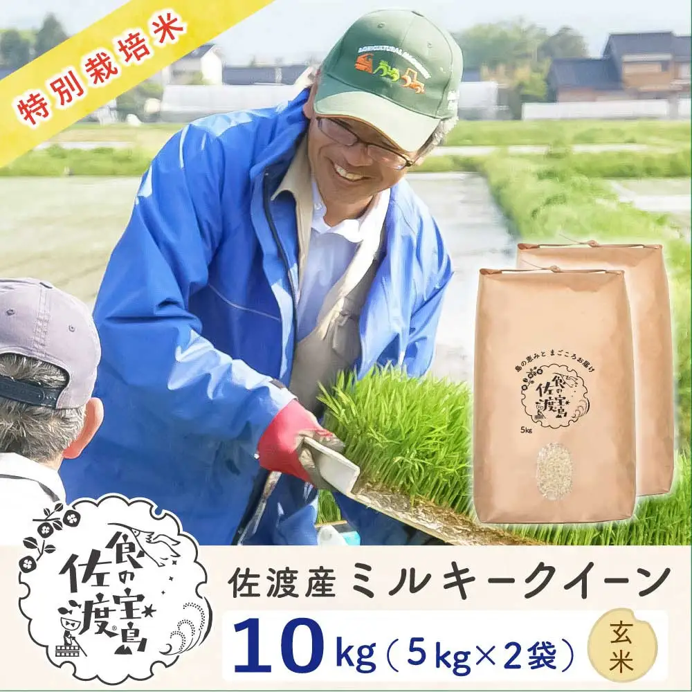 佐渡島産ミルキークイーン 玄米10kg（5kg×2袋） 令和7年産 特別栽培米