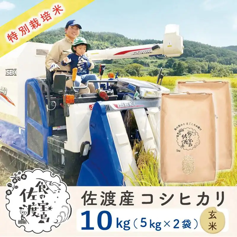 佐渡島産コシヒカリ 玄米10kg（5kg×2袋） 特別栽培米 農家直送