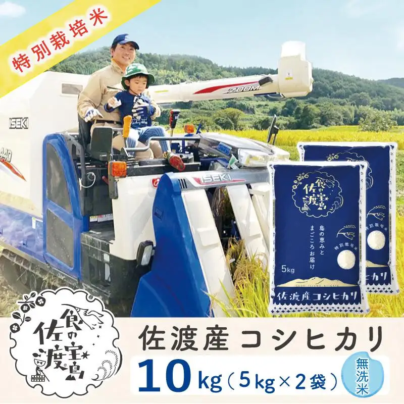 佐渡島産コシヒカリ 無洗米10kg（5kg×2袋） 特別栽培米 農家直送