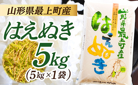 【令和7年産】山形県産 はえぬき 5㎏ (5㎏×1袋)
