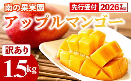 【先行受付】【2026年発送】南の果実園 アップルマンゴー 訳あり品 1.5kg（3～7玉）- 先行予約 沖縄県産 産地直送 南国フルーツ 旬の味覚 季節の果物 ご自宅用 家庭用 沖縄県 八重瀬町