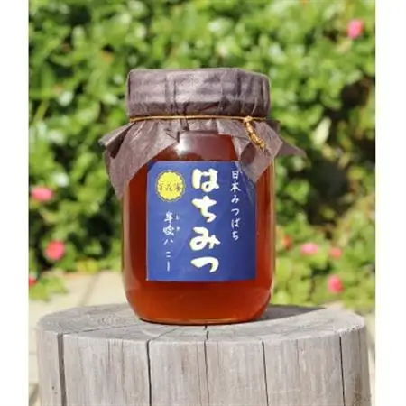 牟岐ハニー　日本ミツバチの百花蜜　600g【1433970】