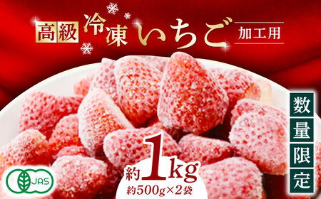 高級 冷凍  いちご 加工用 約1kg（約500g×2袋）【伊藤農園】 果物 フルーツ イチゴ 苺 熊本県 特産品 オーガニック 有機いちご 恋みのり 冷凍 九州 加工用 [ZBB003]