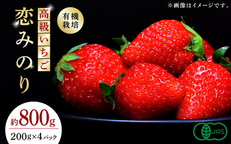 【先行予約】 高級いちご恋みのり約800g(200g×4)有機栽培いちご苺イチゴZBB006